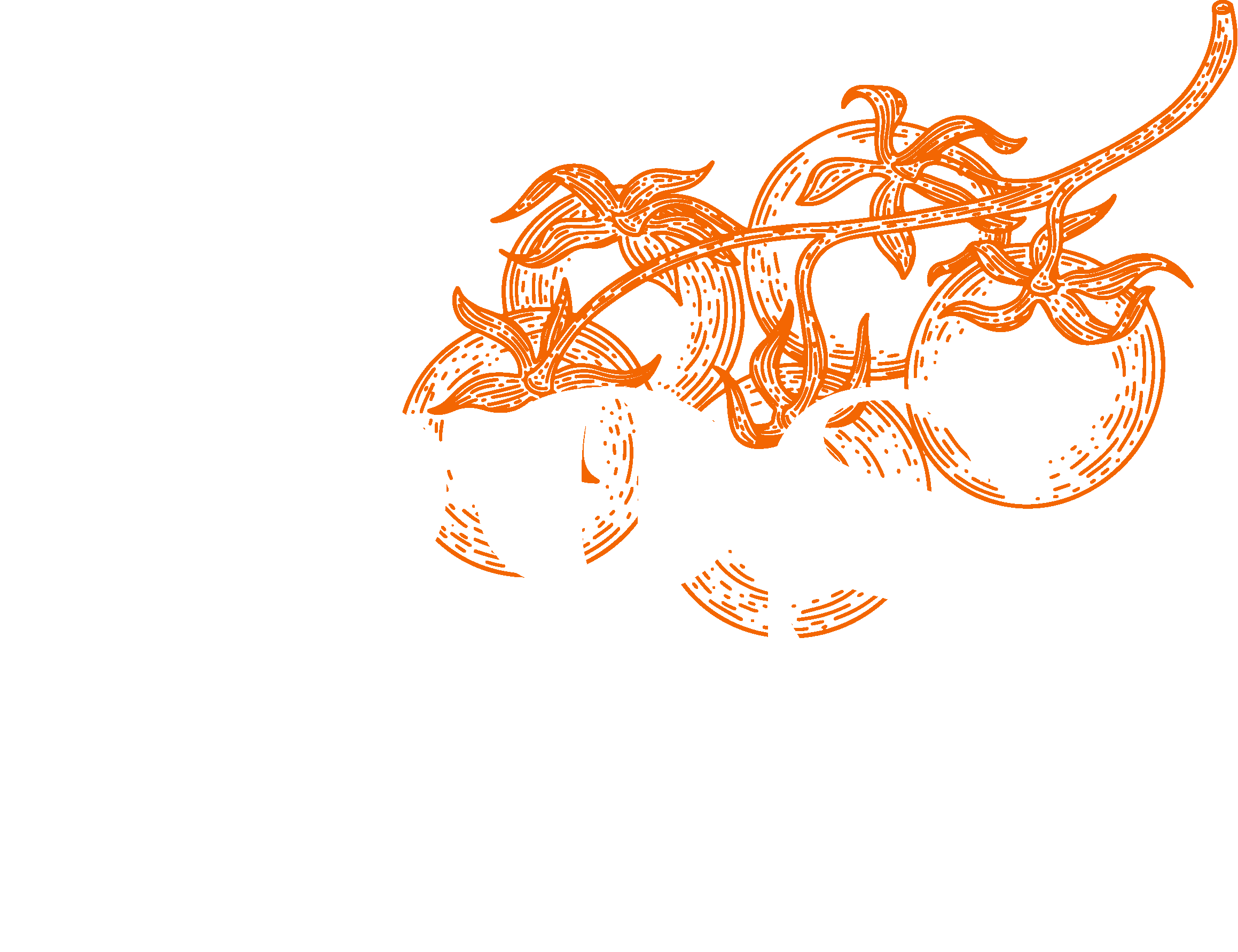 Iggs Pizzeria